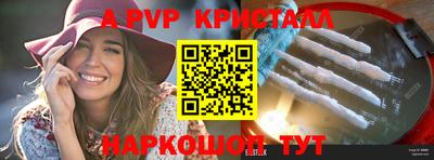 спиды Кингисепп