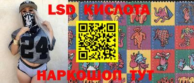 спиды Кингисепп