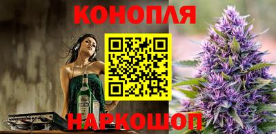 шишки Кинель