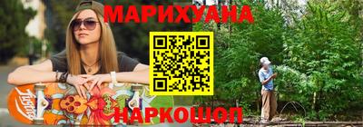 спиды Кингисепп