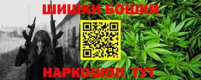 спиды Кингисепп