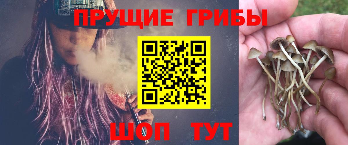 Коломна  Галлюциногенные грибы мухоморы  Галлюциногенные грибы Psilocybe  где продают   Вход с VPN 